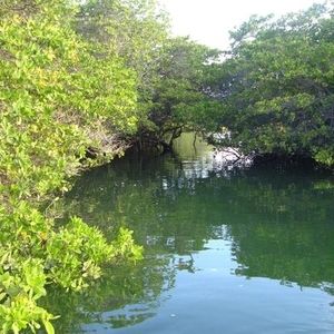 Meet your Posher, Emilia